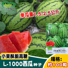 ְ1000ϷN sƤtȿwSٶYƷ2K