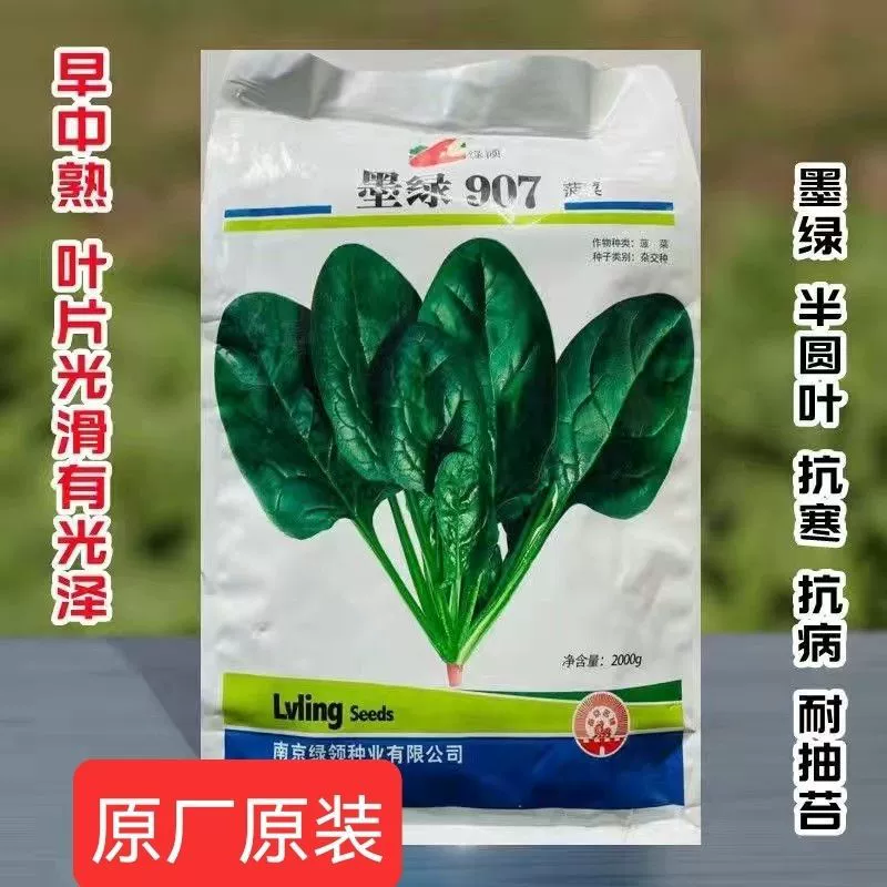 Темно-зеленые семена шпината 907 Ранние средние зрелые Холодостойкие высокодоходные красные корневые спагетти фермы Полевые семена овощных культур весной, летом, осенью и зимой