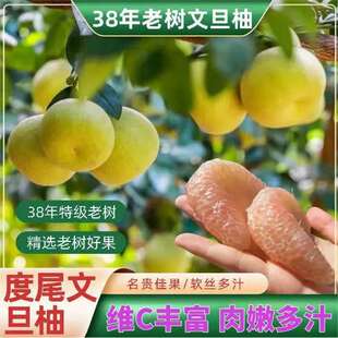 �������ζ�β�ĵ��ּt���֮������rˮ��38���Ϙ侫Ʒ����Fժ�F�l