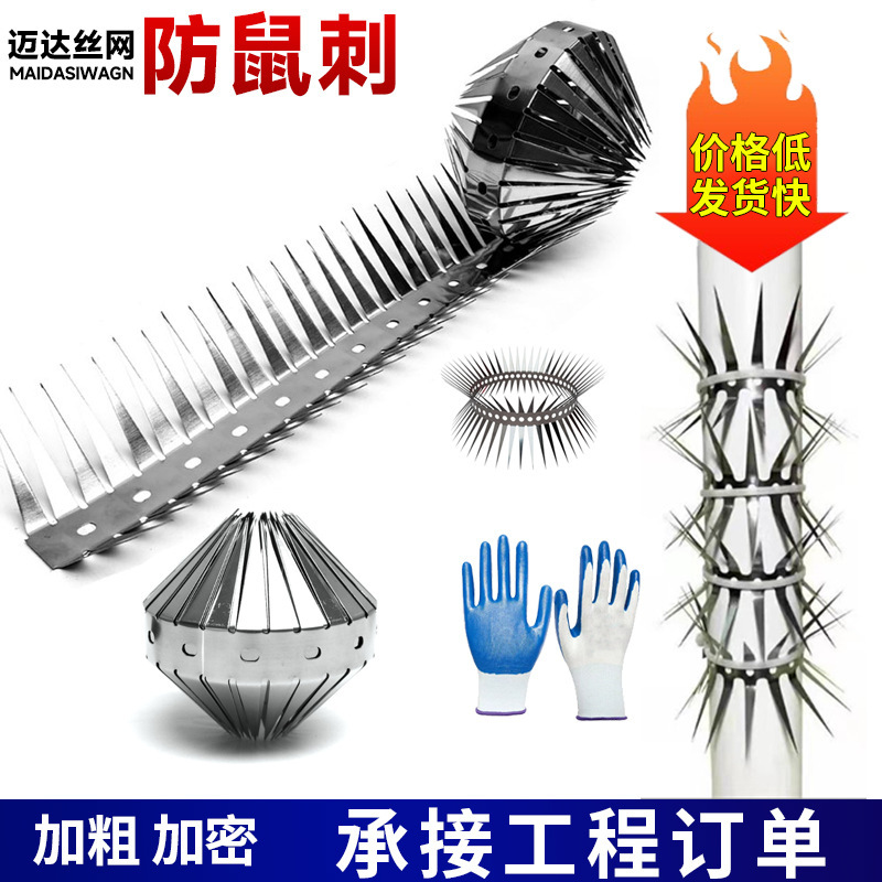 Anti-rodent stab pipeline warehouse exterior wall anti-climbing stab car power tower anti-climbing anti-theft stab stainless steel anti-rodent stab Anti-rodent stab pipeline warehouse exterior wall anti-climbing stab car power tower anti-climbing anti-theft stab stainless steel anti-rodent stab