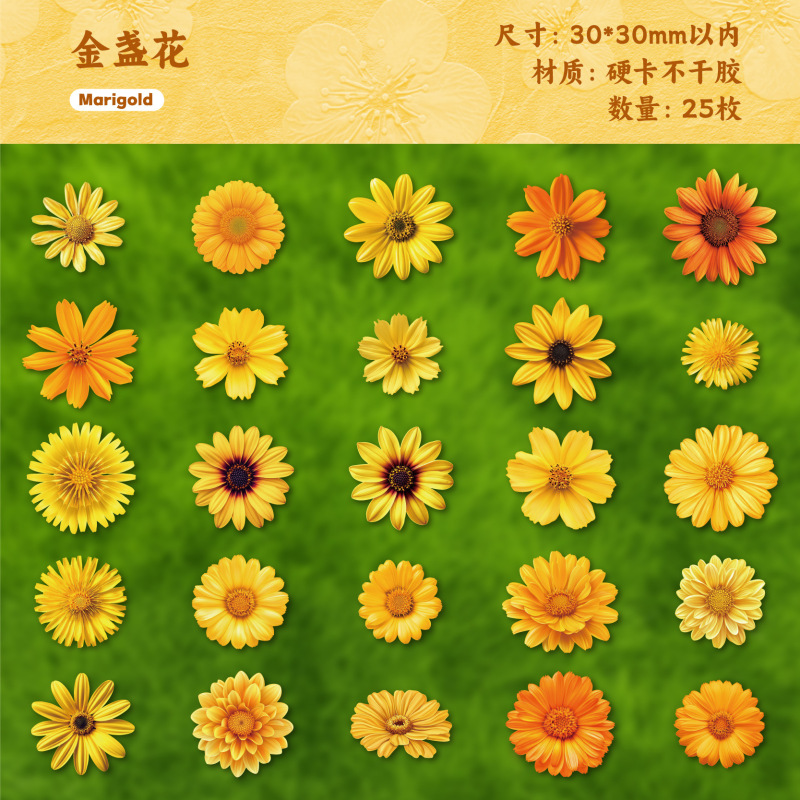 Retro Story贴纸包朵朵系列手绘花卉主题手账DIY装饰贴25枚入6款|undefined