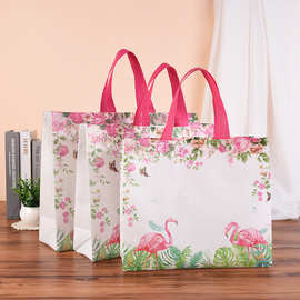 彩印覆膜无纺布袋淋膜袋展会广告购物袋促销礼品手提袋可加LOGO