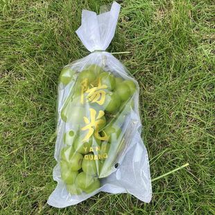 [Free Shipping] Qingwang Grape Packaging Bag Fresh-Keeping Bag Trapezoidal Sunshine Rose Non-Woven Fabric Integrated Anti-Fog Fruit One