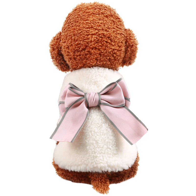 Dog in pink bow vest