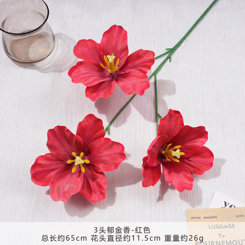Fy-3 tulips-red