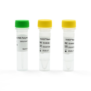 HCY&trade; �����᷀���� DNA �ۺ�ø���m���O�˷����l��