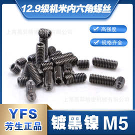 紧定螺丝12.9级 高强度M5*5机米内六角螺丝芳生无头螺栓电镀黑镍