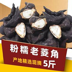 新鲜老菱角湖北洪湖特色蔬菜野生凌角应季黑棱角红青菱角大菱粉糯