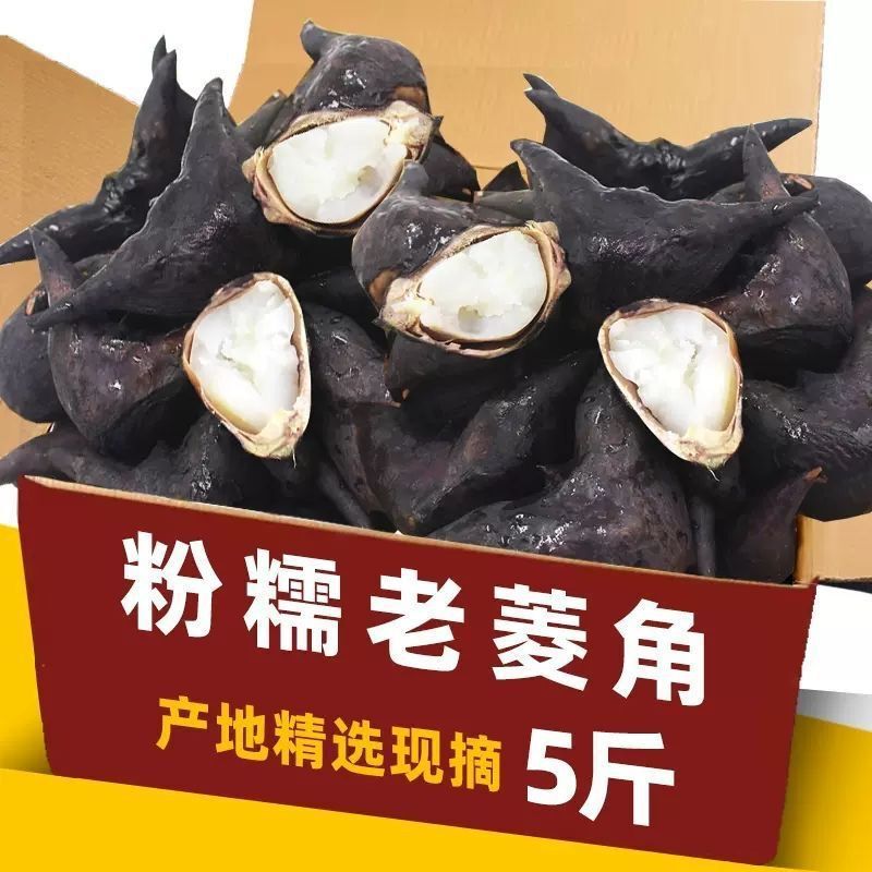新鲜老菱角湖北洪湖特色蔬菜野生凌角应季黑棱角红青菱角大菱粉糯|undefined