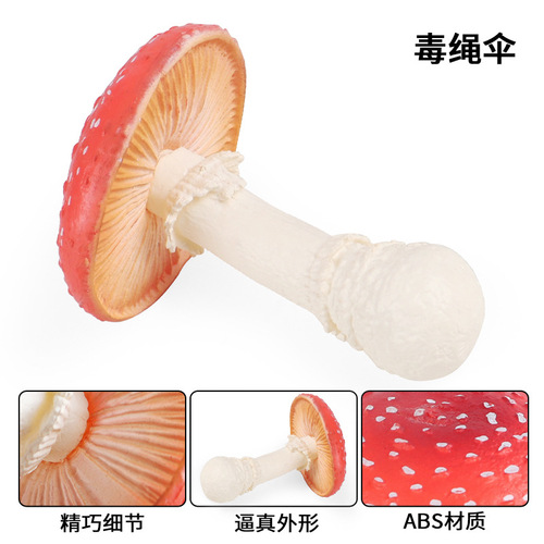 Children's science and education enlightenment simulation fake poisonous rope umbrella mushroom food model outdoor courtyard seeding decoration landscape props