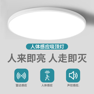 led�Б���픟��ؘǵ������^��������������Ԅ����_���w�Б���
