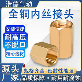 全铜内丝接头螺纹直通水气嘴软管煤气天然气双内外接头