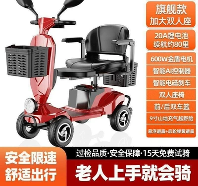 Electric Vehicle, Foldable Two-Seater – Qatlanan elektrik velosipedlər - flagship-double-occupancy-model-with-premium-20a-lithium-battery