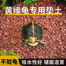 �绯ʯ�����ڹ��Ե��ר������½���쾰װ�����������̺�������