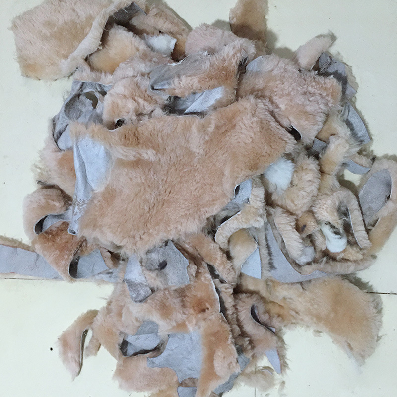 C级02.jpg