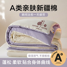 2025秋冬新款拼色新疆棉花被被子被芯秋冬被加厚冬被被子被芯