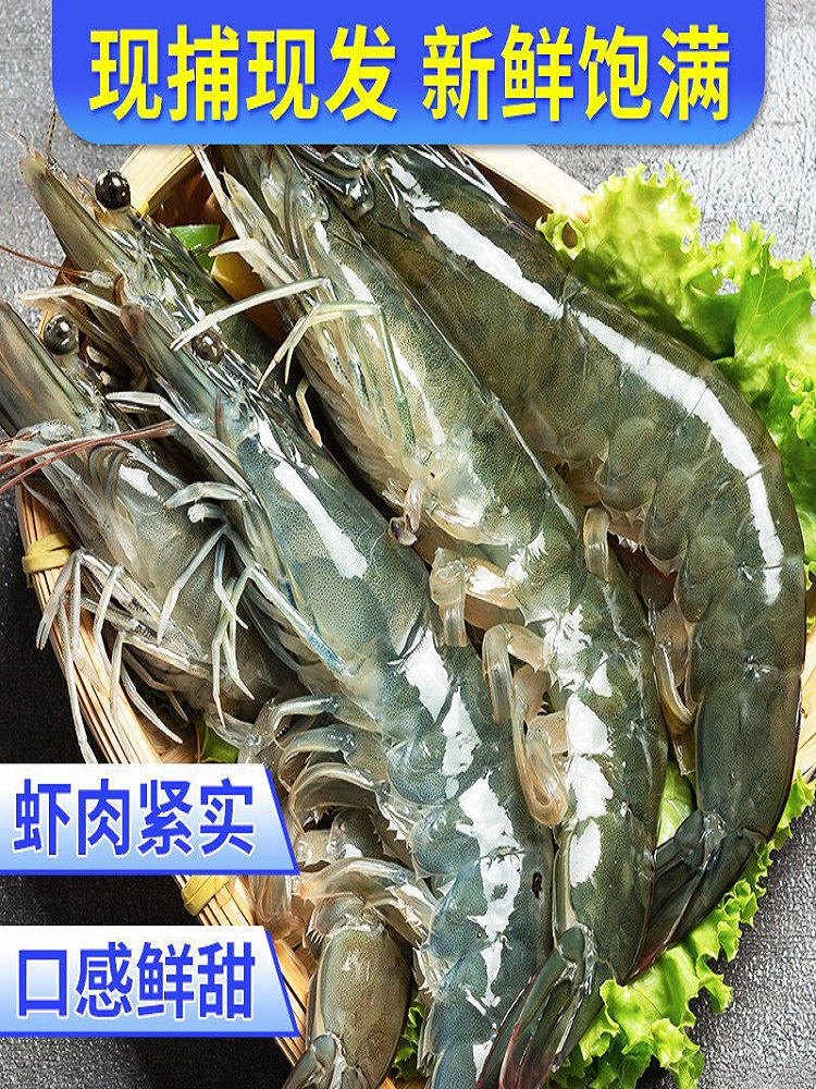 青岛大虾鲜活冷冻虾新鲜青虾对虾海虾船冻海鲜水产整箱4斤/盒