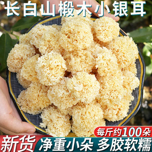 �L��ɽ�ľС�y����؛Ŵ�����ؼ�Ұ����ľ�����zС��ѩ������|��