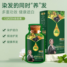爆款明星植萃染膏盒装染发剂植物盖白泡泡染批发代发染发膏