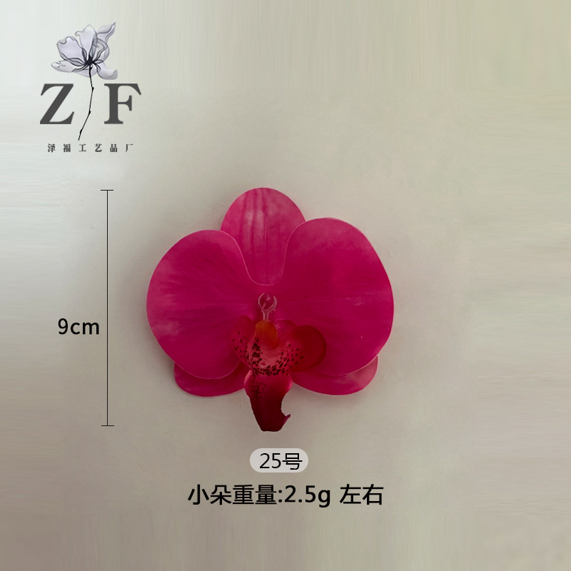 25호(소)