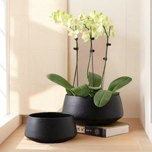 ���s�մɻ���С�д������ڏ��G�}�մɻ����п״�ڏ��Gֲ����