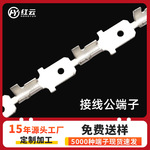 6.3*0.8铜锡冷压接线端子187公端插簧压片接线端子传感器包线端子