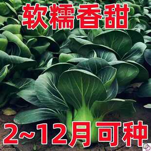 �͟���~���_�K�������r�๣��ܛŴ����ɿ��Ϻ����r���ļ��K����
