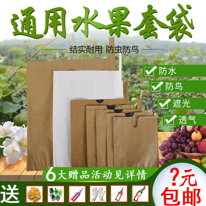 Fruit Bagging, Loquat Bagging, Mango Bagging, Pear Bagging, Peach Bagging, Citrus Bagging, Apple Bagging, Grapefruit Lemon