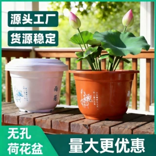 塑料花盆厂家批发荷花盆水培园艺种加厚圆形无孔荷花盆加厚