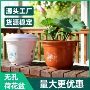 加厚无孔水培圆形花盆