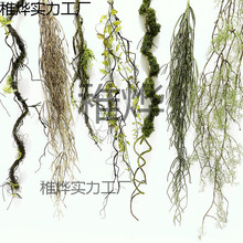 ̦�\���ٿ���ɭϵ�쾰�b[�ż��ٗl��̦�ٴ�����И�֦��ˇ