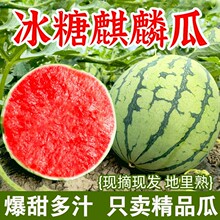����8424�����������ϱ�Ƥ���Ѻ������������������ˮ������