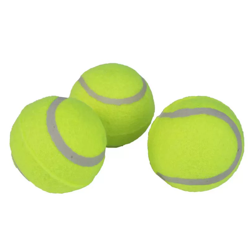 Elastic rubber interactive toy for training for professional tennis, pet, can bite