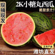 ɽ�|2kС��������3/9�����rˮ�������Fժ�����֭���������