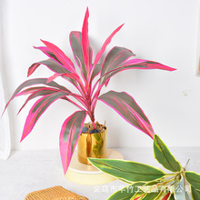 �������ľ��Ѫ���콶�Gֲ�廨�쾰�͏d�辰ֲ��[����ˇ�b�