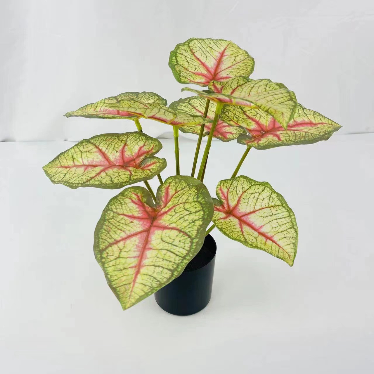 微信图片_20230529150924