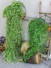 ���R���͏d�����b��҃ȾGֲ�ڒ컨�ٻ��ٗl����ֲ����m��������