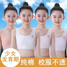 童内裤;童内衣套装;女士安全裤