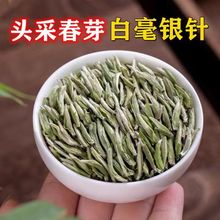 2024年荒野特级白毫银针头采米粒芽500g雪后银针白茶新茶雪后特级