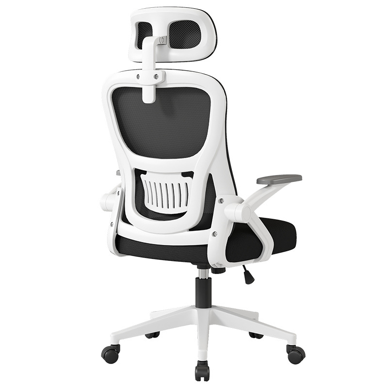 Silla de computadora Silla de oficina cómoda sedentaria Silla de estudio para estudiantes domésticos Se puede levantar silla ergonómica con respaldo al por mayor