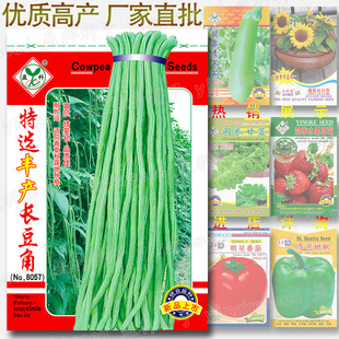 ���x�S�a�L���ǷN�� �s60�� �ܶ������Ƕ��˶���ԭ�b�߲˷N�����l