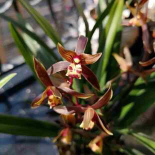 �����m������ī�m��ڈ�q�m���~�m�������İ�ī�͏d�̨�Gֲ����