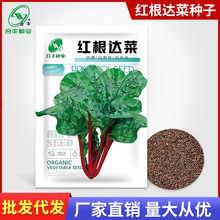 �t���_�˷N�Ӽt���˷N�Ѽt�q�R��ţƤ���׷N��β����߲˷N���l