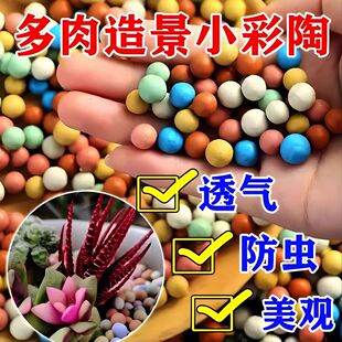 ��ɫ�����w�����É|�׻������͸���B��ˮ���������ʯ��ɫ�մ���