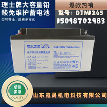 LEOCHʿ늳12V65AH DJM1265 C 늙 ֱUPSԴ