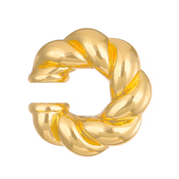 brand ear clips