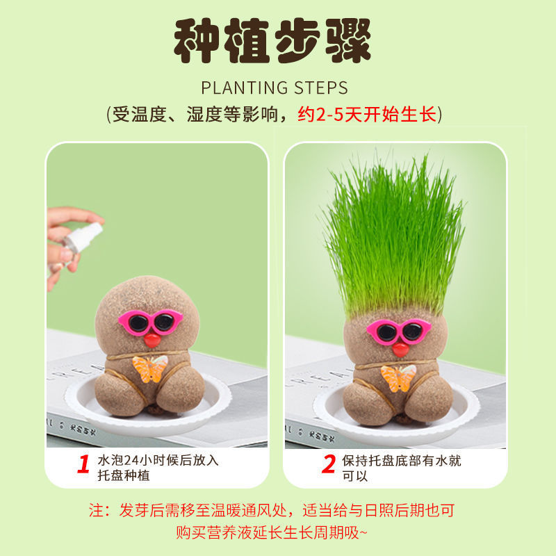Red césped muñeca de escritorio mini planta de riego hierba larga oficina de plantas verdes balcón interior creativa pequeña maceta