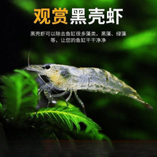 �ښ��r�r���^�p�r�����~��С�r��ˮ�ͻ���ˮ̖�坍�O��ѻ��r