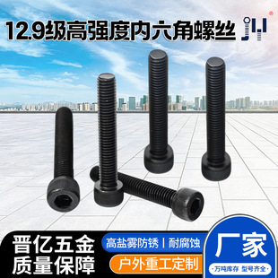 �ǘ˼����������L�ݗU�����l��/��\�ߏ����ݽz12.9 ����������˨