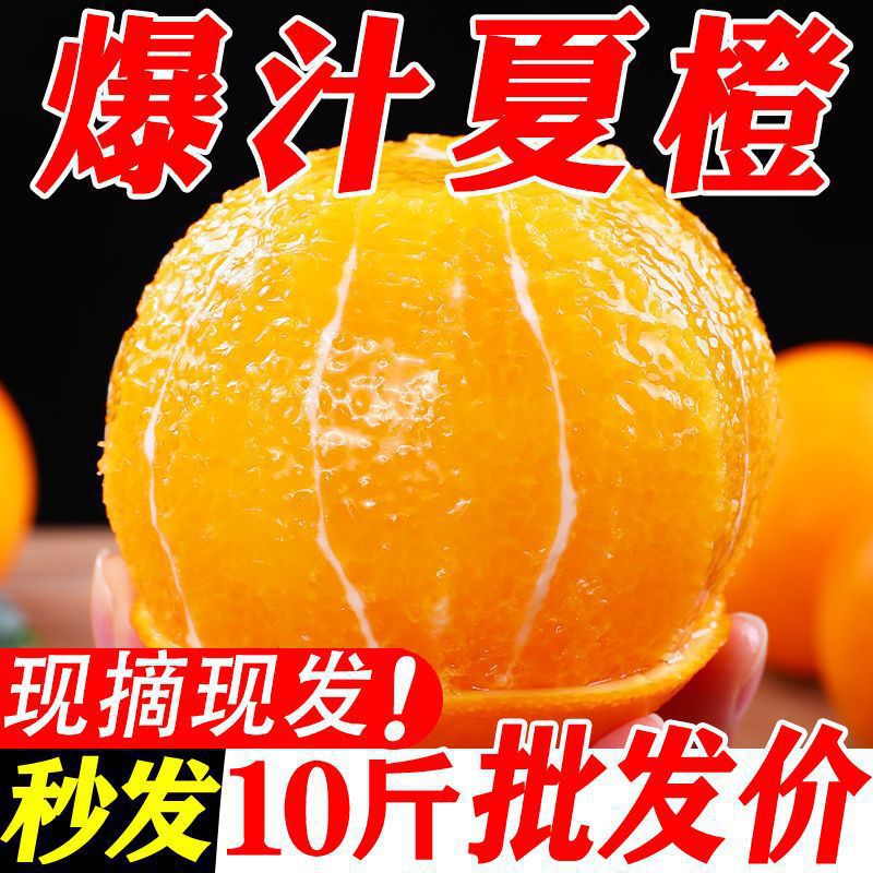 新鲜夏橙子薄皮榨汁商用应季水果新鲜脐橙整箱批发包邮